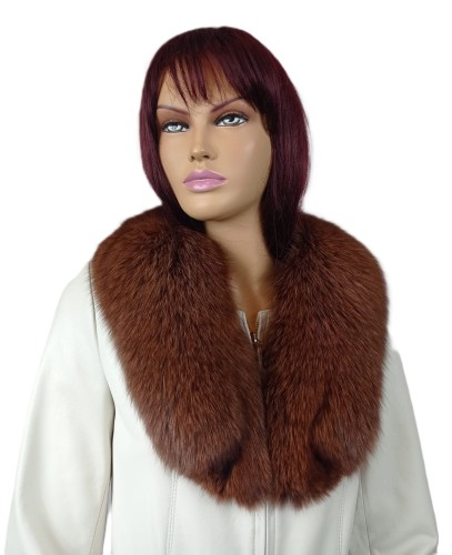 WhatsApp Image 2026-02-18 at 12.20.0712.jpeg