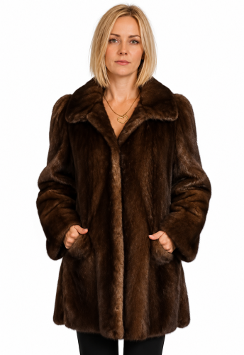 ffeff572-5256-4fbb-9d20-fdc71007746c.png