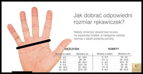 rozmiary rękawiczek.jpg