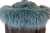 IMG_0261-removebg-preview.png
