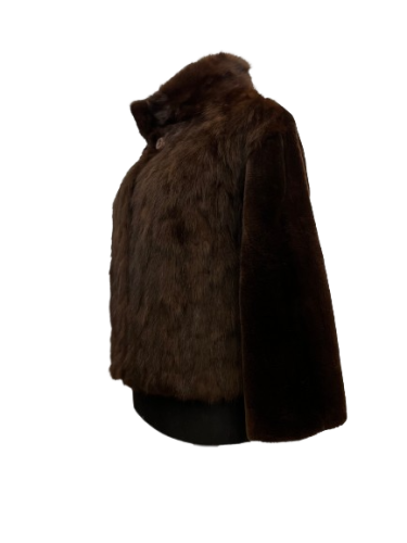 IMG-2281-removebg-preview-removebg-preview.png
