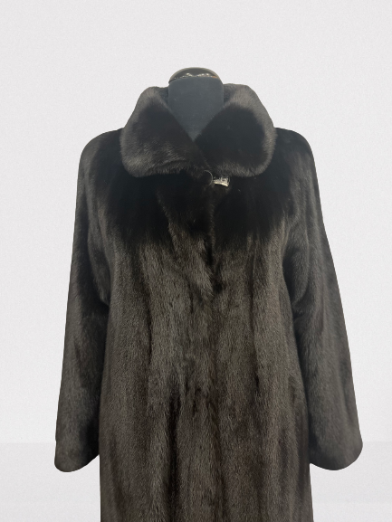 IMG-2775-removebg-preview.png
