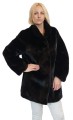 Asterita parys Furs1.jpg