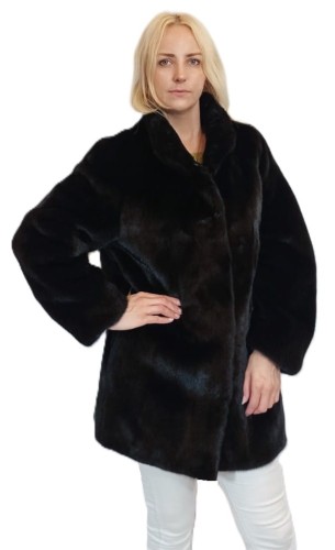 Asterita parys Furs1.jpg