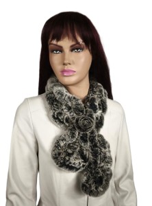 Szaliczek rex rabbit chinchilla